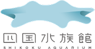四国水族館