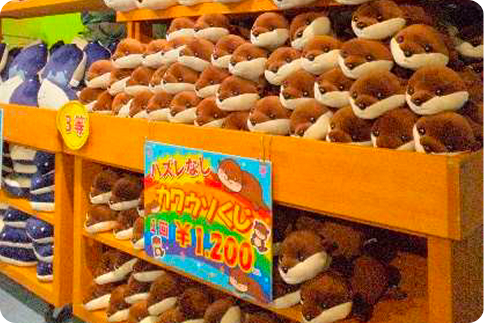 カワウソショップおった