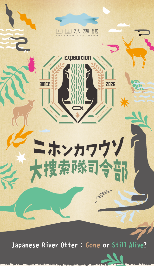 ニホンカワウソ捜査隊司令部 四国水族館